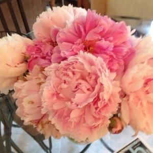 Meet your Posher, Geoia